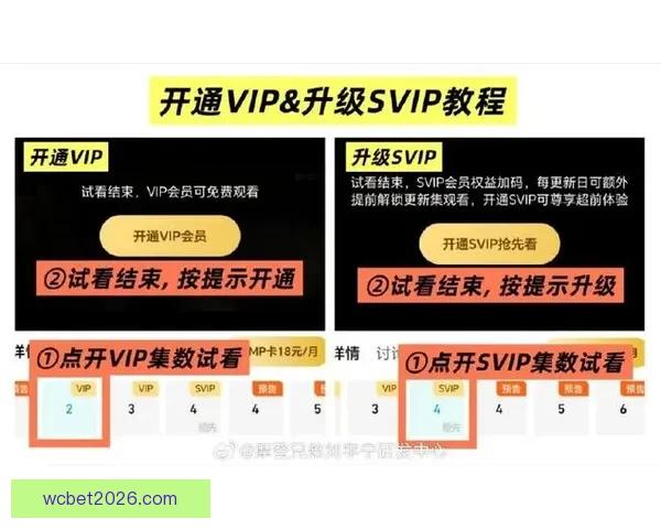 开云官方入口全面解析：如何顺利登录与享受最新时尚购物体验